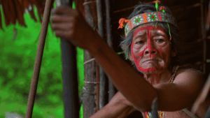 Amazonian Cultural Traditions