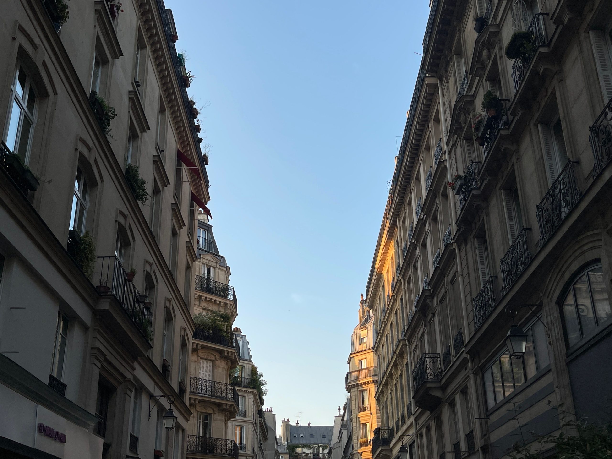 Bâtiments néoclassiques élégants rue Paris coucher soleil