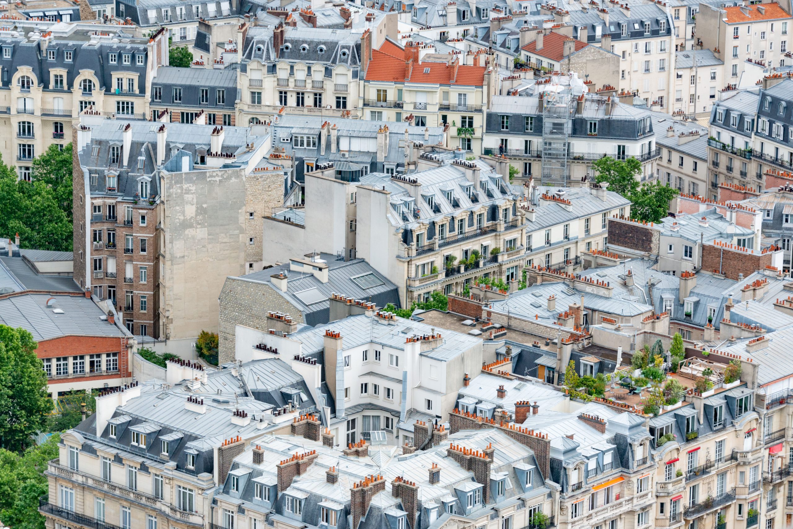 Toits parisiens charmants architecture classique francaise estivale