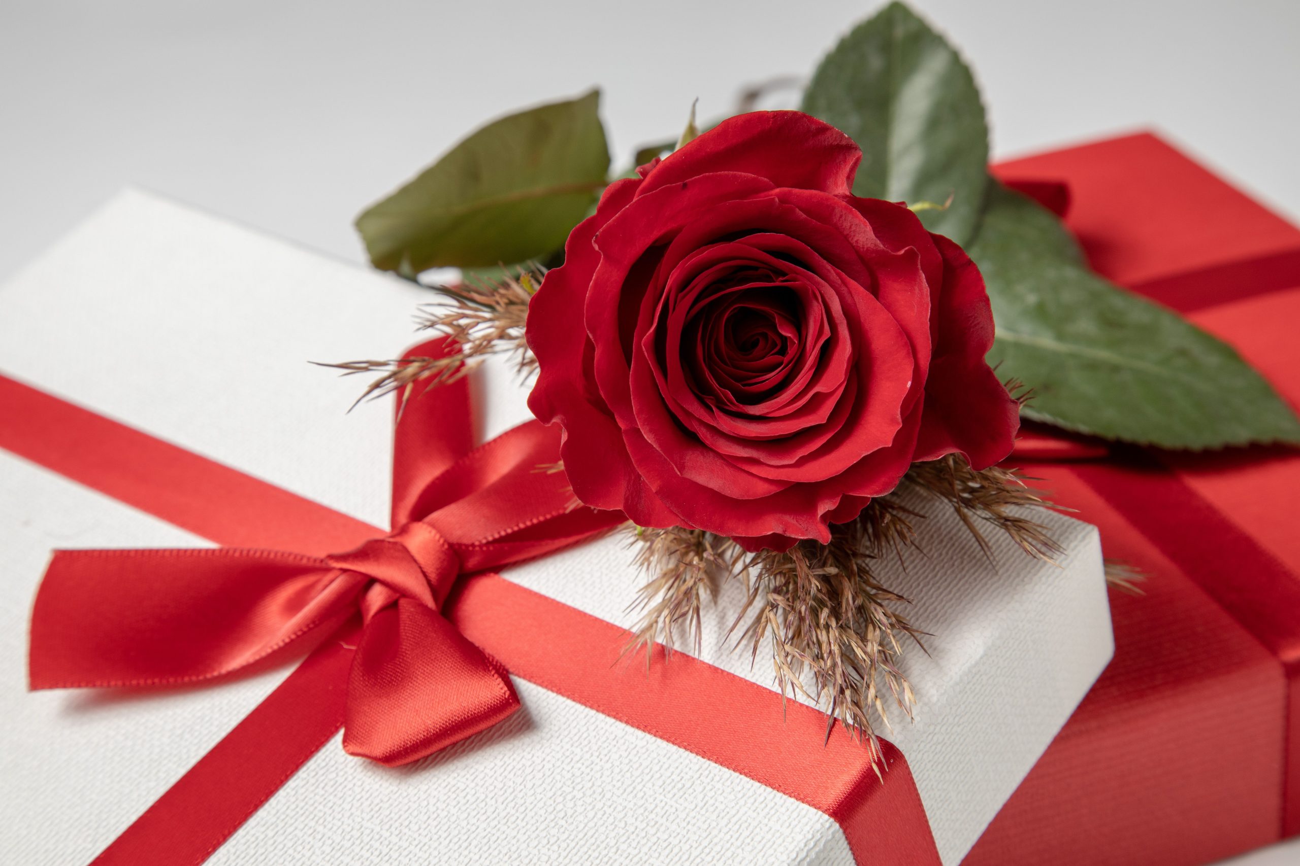 Rose rouge élégante sur boîte cadeau blanche